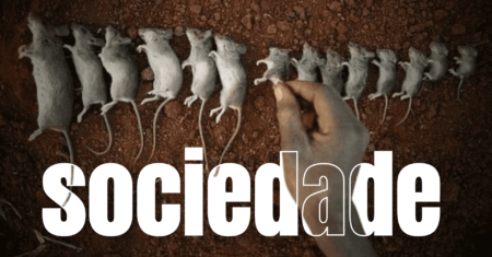 “Universo 25” Um Reflexo Perturbador da Sociedade Atual